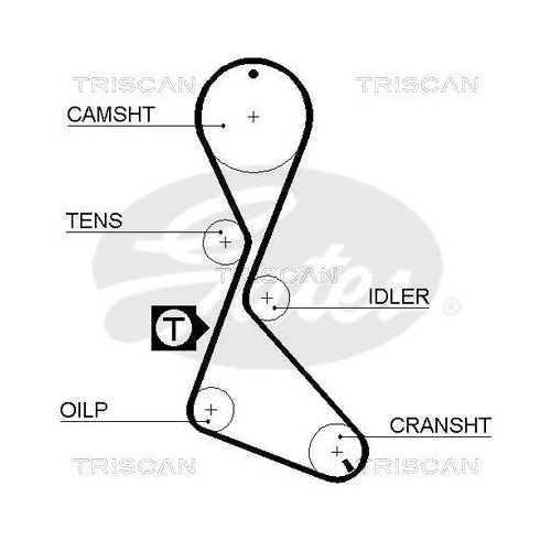 Zahnriemen TRISCAN 8645 5056 für DANA