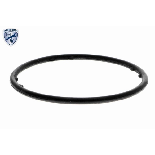 Wasserpumpe, Motork&uuml;hlung VAICO V10-50103 EXPERT KITS + f&uuml;r AUDI SEAT SKODA VW