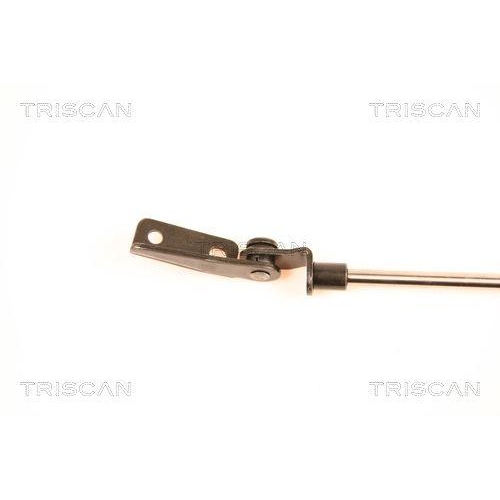 Gasfeder, Koffer-/Laderaum TRISCAN 8710 14233 f&uuml;r NISSAN, links