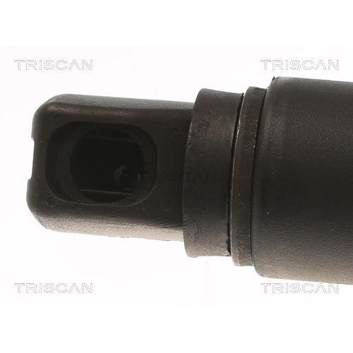 Gasfeder, Koffer-/Laderaum TRISCAN 8710 23305 für MERCEDES-BENZ, hinten links