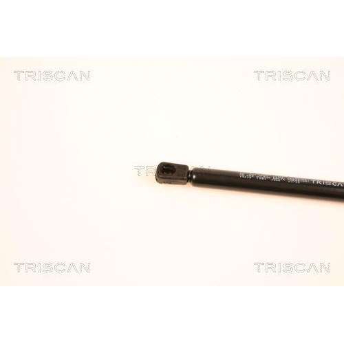 Gasfeder, Koffer-/Laderaum TRISCAN 8710 14239 f&uuml;r NISSAN