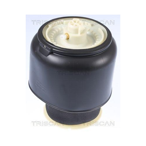 Luftfeder, Fahrwerk TRISCAN 8720 11201 f&uuml;r BMW, Hinterachse beidseitig