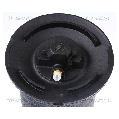 Luftfeder, Fahrwerk TRISCAN 8720 11202 f&uuml;r BMW, Hinterachse beidseitig
