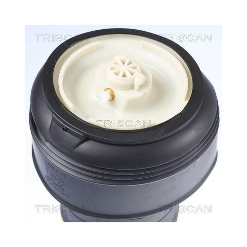 Luftfeder, Fahrwerk TRISCAN 8720 11203 für BMW, Hinterachse beidseitig