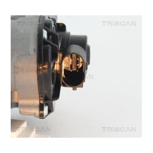 AGR-Ventil TRISCAN 8813 25010 für OPEL RENAULT