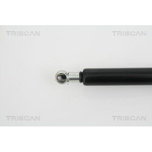 Gasfeder, Koffer-/Laderaum TRISCAN 8710 25228 für RENAULT, hinten links