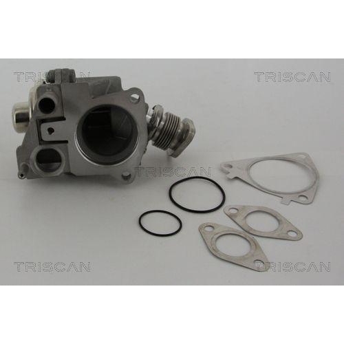 AGR-Ventil TRISCAN 8813 28019 f&uuml;r CITRO&Euml;N FIAT IVECO PEUGEOT