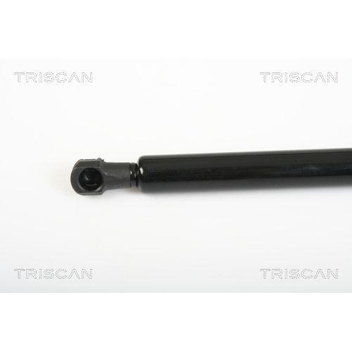 Gasfeder, Heckscheibe TRISCAN 8710 25241 für RENAULT, links, rechts