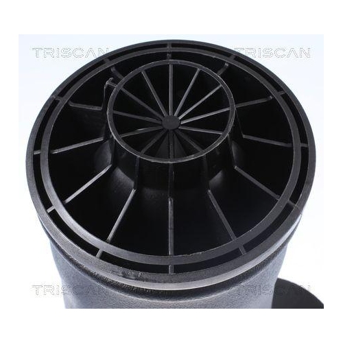 Luftfeder, Fahrwerk TRISCAN 8720 23204 f&uuml;r MERCEDES-BENZ, Hinterachse beidseitig