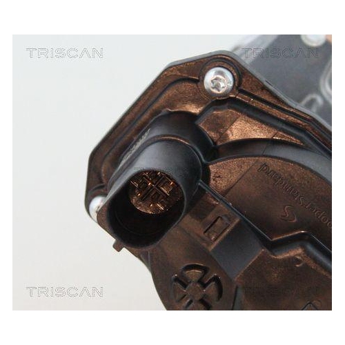 AGR-Ventil TRISCAN 8813 29065 f&uuml;r AUDI PORSCHE VW
