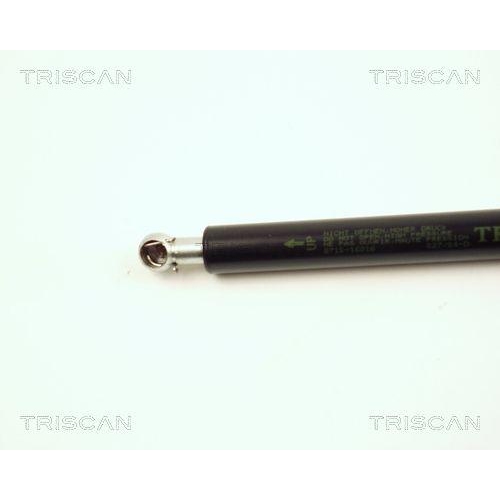 Gasfeder, Koffer-/Laderaum TRISCAN 8710 16216 f&uuml;r FORD, hinten links