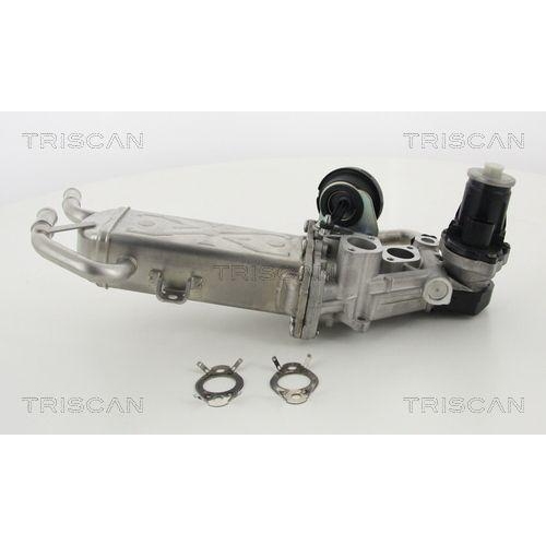 AGR-Ventil TRISCAN 8813 29325 f&uuml;r AUDI SEAT SKODA VW HITACHI