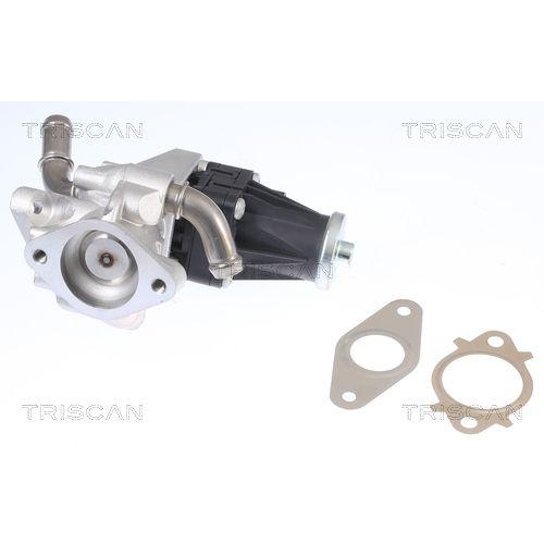 AGR-Ventil TRISCAN 8813 16150 f&uuml;r CITRO&Euml;N FORD PEUGEOT FORD USA LAND ROVER