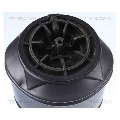 Luftfeder, Fahrwerk TRISCAN 8720 38201 f&uuml;r CITRO&Euml;N, Hinterachse beidseitig