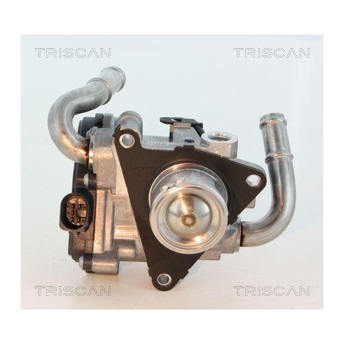 AGR-Ventil TRISCAN 8813 29069 f&uuml;r AUDI SEAT SKODA VW