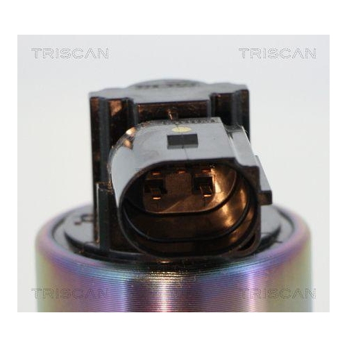 AGR-Ventil TRISCAN 8813 44009 f&uuml;r SSANGYONG