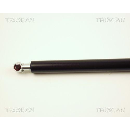 Gasfeder, Koffer-/Laderaum TRISCAN 8710 16229 f&uuml;r FORD, hinten links