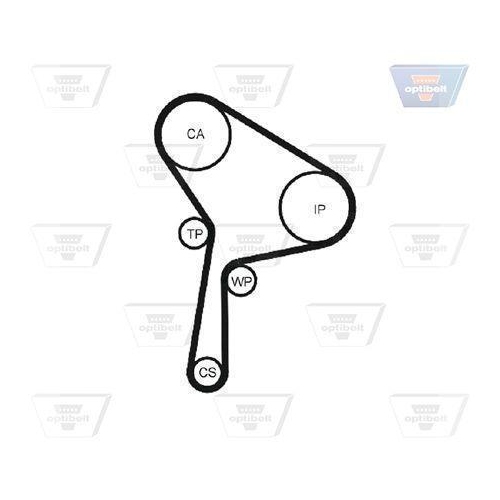 Wasserpumpe + Zahnriemensatz OPTIBELT KT 1434 W1 Optibelt-WAPU-KIT für