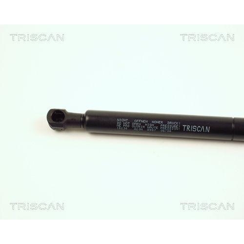 Gasfeder, Koffer-/Laderaum TRISCAN 8710 16234 für FORD