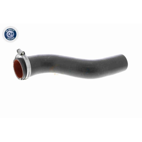 Ladeluftschlauch VAICO V46-0738 Q+, Erstausr&uuml;sterqualit&auml;t f&uuml;r RENAULT