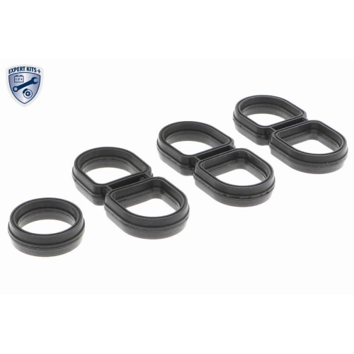 &Ouml;lk&uuml;hler, Motor&ouml;l VEMO V15-60-6063 EXPERT KITS + f&uuml;r AUDI SEAT SKODA VW VAG