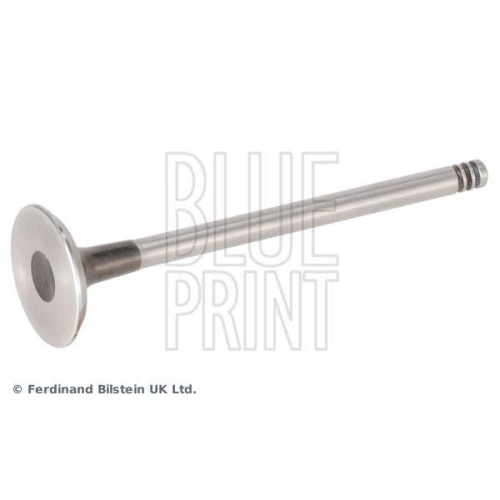 BLUE PRINT ADBP610481 Auslassventil f&uuml;r MERCEDES-BENZ NISSAN RENAULT SUZUKI