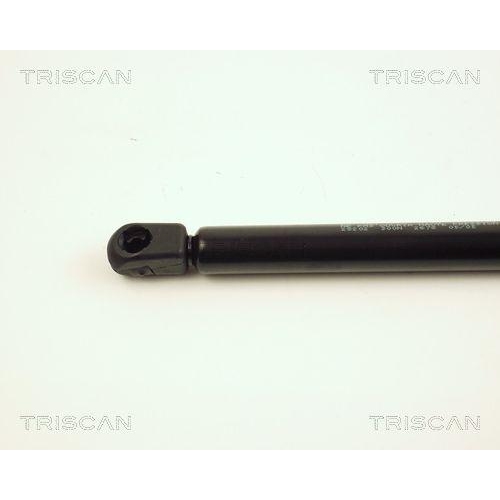 Gasfeder, Koffer-/Laderaum TRISCAN 8710 28202 für PEUGEOT