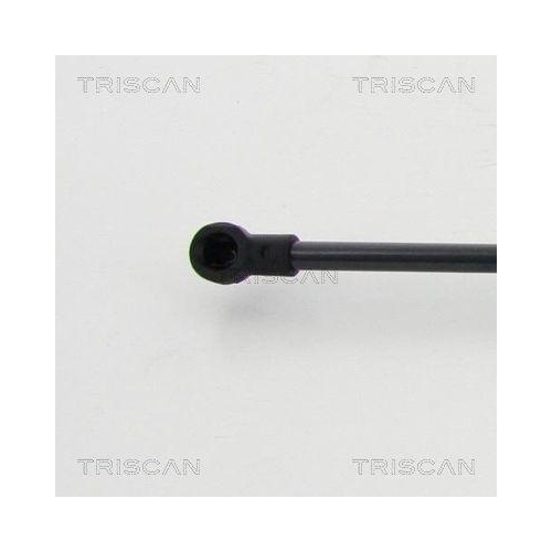 Gasfeder, Koffer-/Laderaum TRISCAN 8710 292022 f&uuml;r AUDI