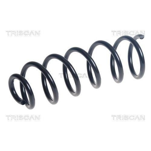 Fahrwerksfeder TRISCAN 8750 25139 f&uuml;r DACIA, Hinterachse