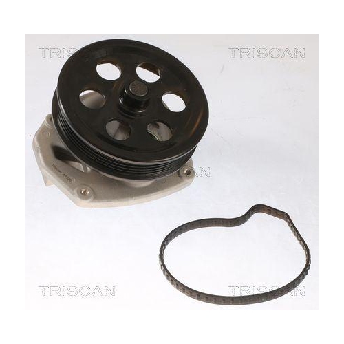Wasserpumpe, Motorkühlung TRISCAN 8600 10087 für OPEL SAAB VAUXHALL CHEVROLET
