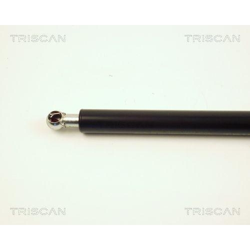 Gasfeder, Koffer-/Laderaum TRISCAN 8710 28217 für PEUGEOT, hinten links