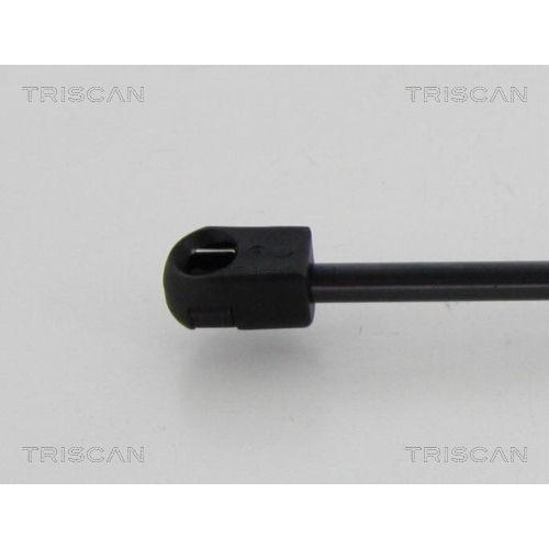 Gasfeder, Koffer-/Laderaum TRISCAN 8710 292028 für SKODA, hinten links