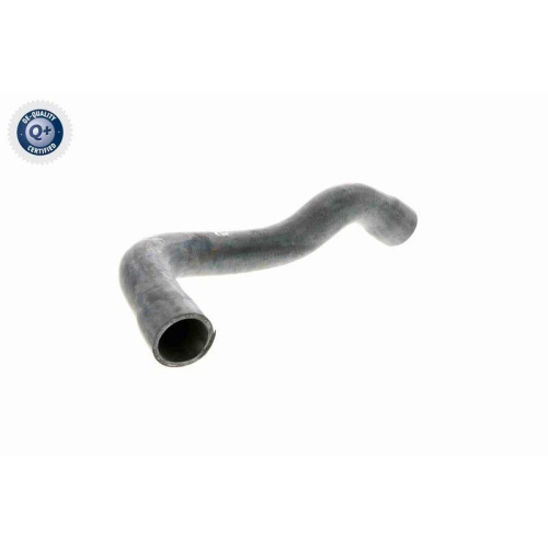 Kühlerschlauch VAICO V20-1242 Q+, Erstausrüsterqualität für BMW, unten