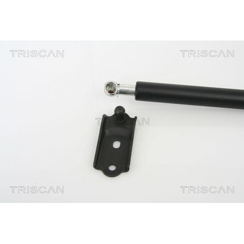 Gasfeder, Koffer-/Laderaum TRISCAN 8710 13252 für TOYOTA, hinten rechts, rechts