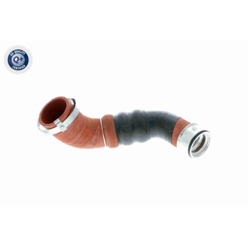 Ladeluftschlauch VAICO V10-2919 Q+, Erstausrüsterqualität für AUDI SEAT SKODA VW