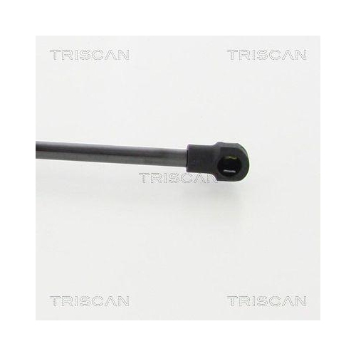 Gasfeder, Koffer-/Laderaum TRISCAN 8710 292035 für VW, hinten links