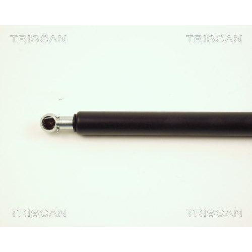 Gasfeder, Koffer-/Laderaum TRISCAN 8710 25213 f&uuml;r RENAULT
