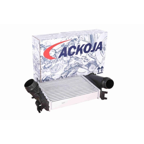 ACKOJA A38-60-0026 Ladeluftk&uuml;hler Original ACKOJA Qualit&auml;t f&uuml;r NISSAN
