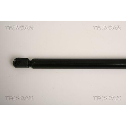 Gasfeder, Heckscheibe TRISCAN 8710 15242 für FIAT