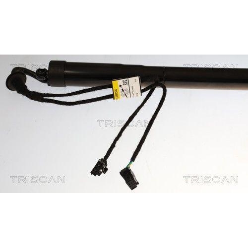 TRISCAN 8710 38302 Gasfeder, Koffer-/Laderaum f&uuml;r CITRO&Euml;N, rechts