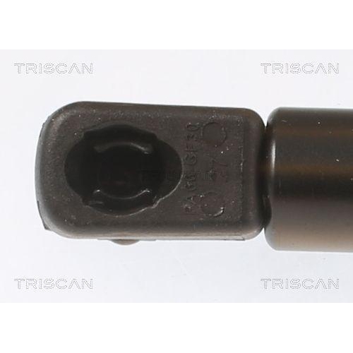 Gasfeder, Koffer-/Laderaum TRISCAN 8710 67205 f&uuml;r SKODA