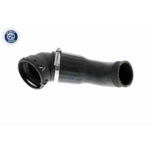 Ladeluftschlauch VAICO V20-2969 Q+, Erstausr&uuml;sterqualit&auml;t f&uuml;r AUDI BMW