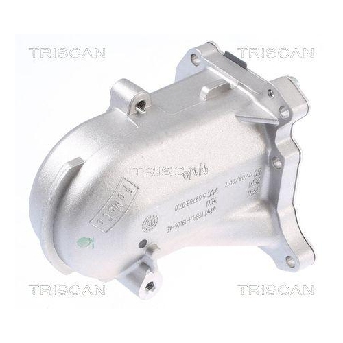 K&uuml;hler, Abgasr&uuml;ckf&uuml;hrung TRISCAN 8813 10104 f&uuml;r CITRO&Euml;N FIAT FORD PEUGEOT VOLVO