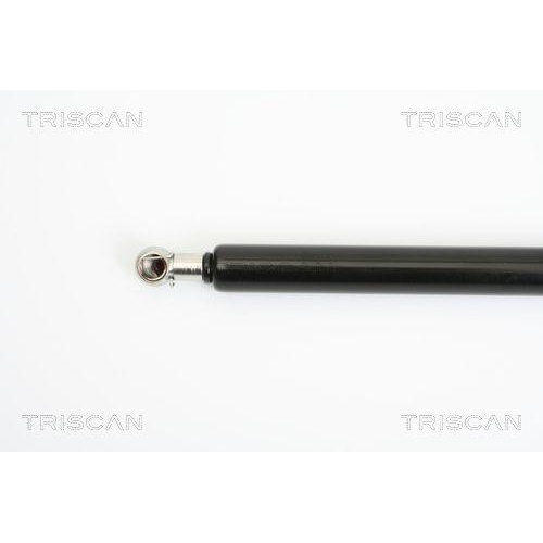 Gasfeder, Koffer-/Laderaum TRISCAN 8710 25229 f&uuml;r RENAULT, hinten links