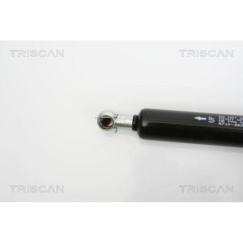 Gasfeder, Koffer-/Laderaum TRISCAN 8710 25236 f&uuml;r RENAULT, hinten links