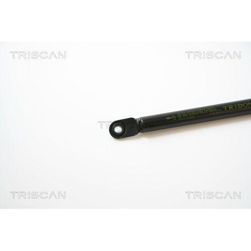 Gasfeder, Koffer-/Laderaum TRISCAN 8710 40226 f&uuml;r HONDA