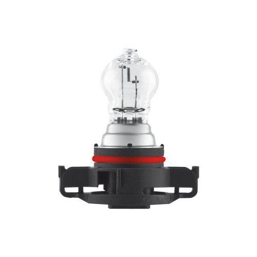 Glühlampe, Blinkleuchte ams-OSRAM 2504 ORIGINAL für