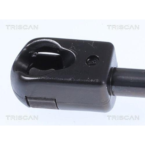 Gasfeder, Koffer-/Laderaum TRISCAN 8710 25242 f&uuml;r RENAULT, hinten links