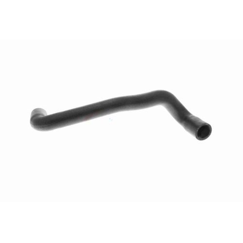 Kühlerschlauch VAICO V10-4810 Q+, Erstausrüsterqualität für AUDI SEAT SKODA VW
