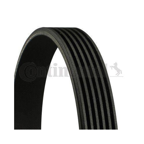 Keilrippenriemen CONTINENTAL CTAM 6PK2260 für AUDI DODGE MAZDA MERCEDES-BENZ VW